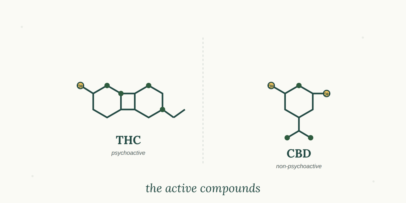 Cannabinoids Explained