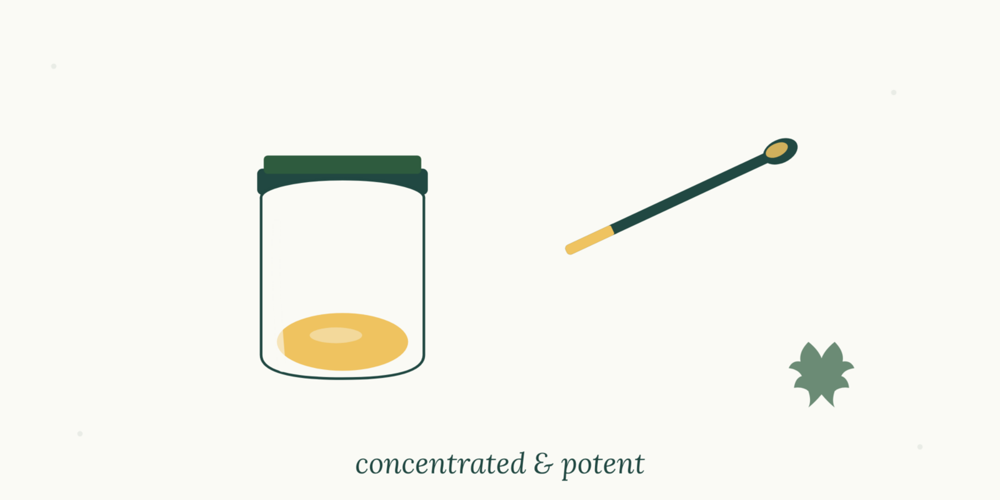 Cannabis Concentrates 101: Live Resin, Rosin, Wax & More