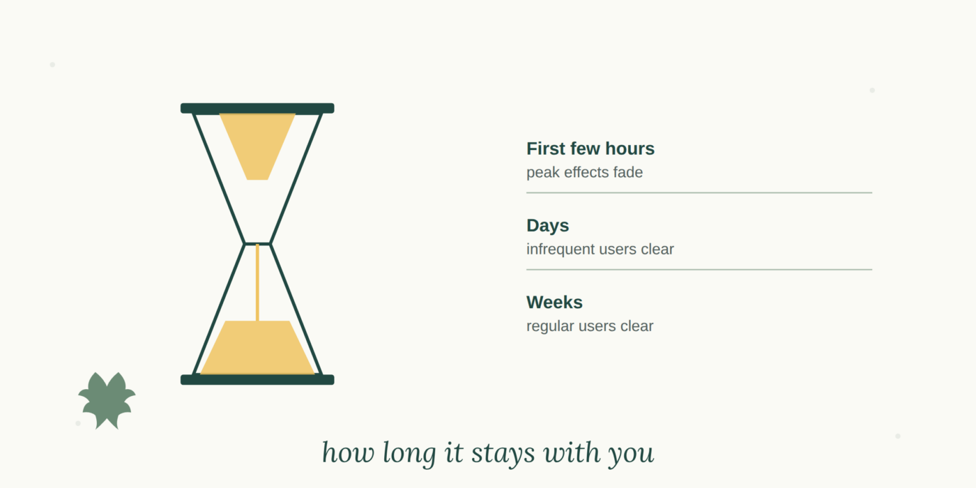 How Long Does Cannabis Stay in Your System?
