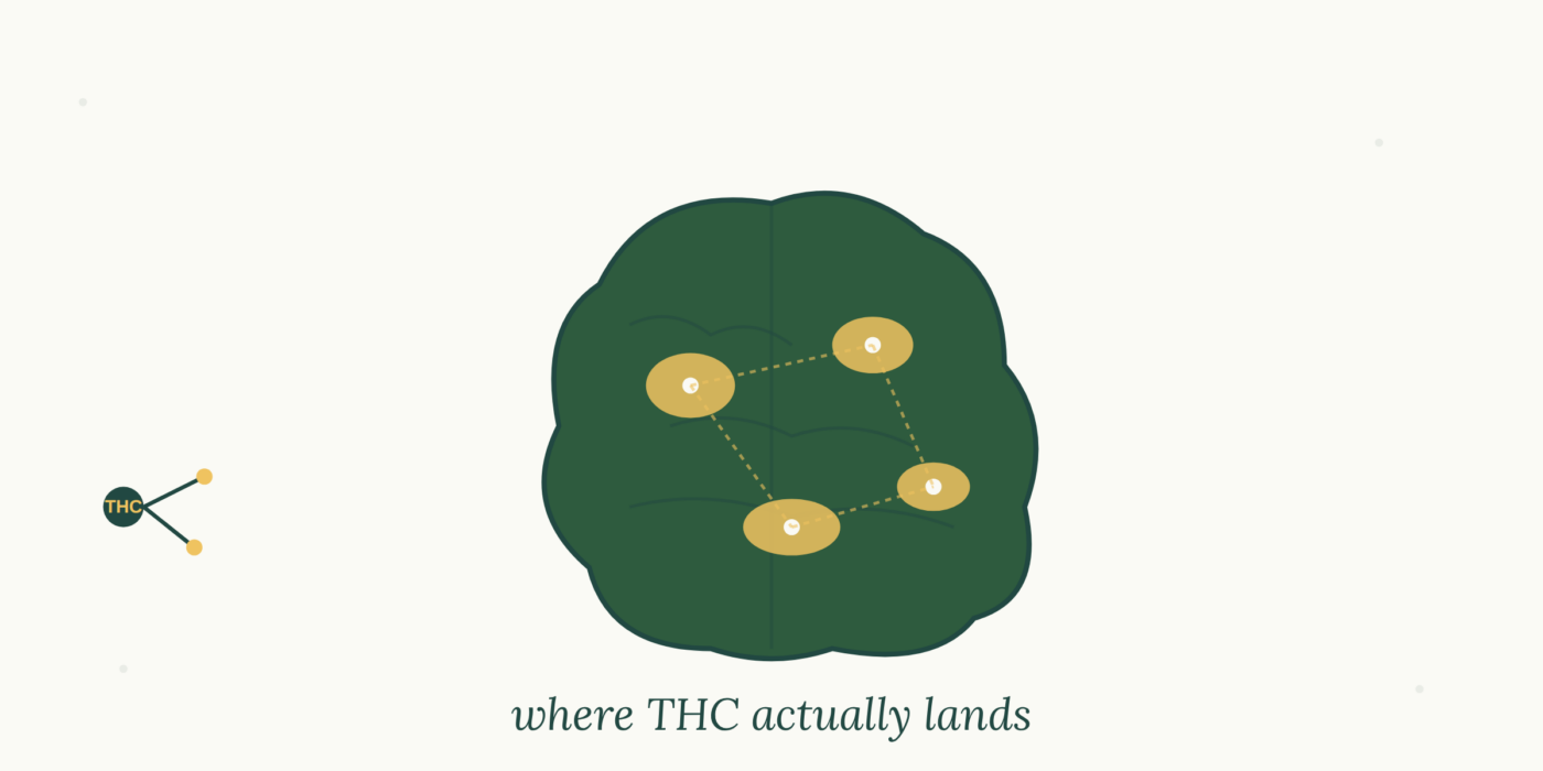 The Science of Getting High: How THC Affects the Brain