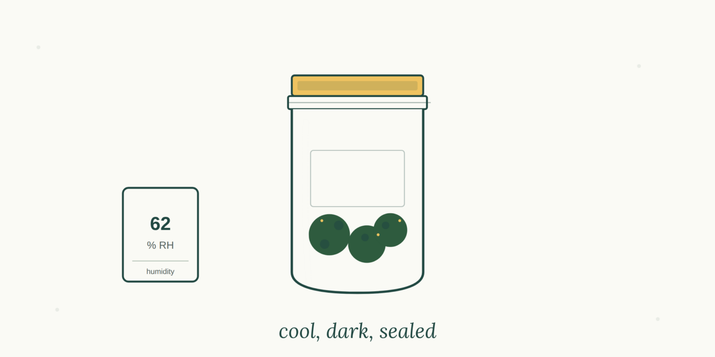 How to Store Cannabis to Keep It Fresh