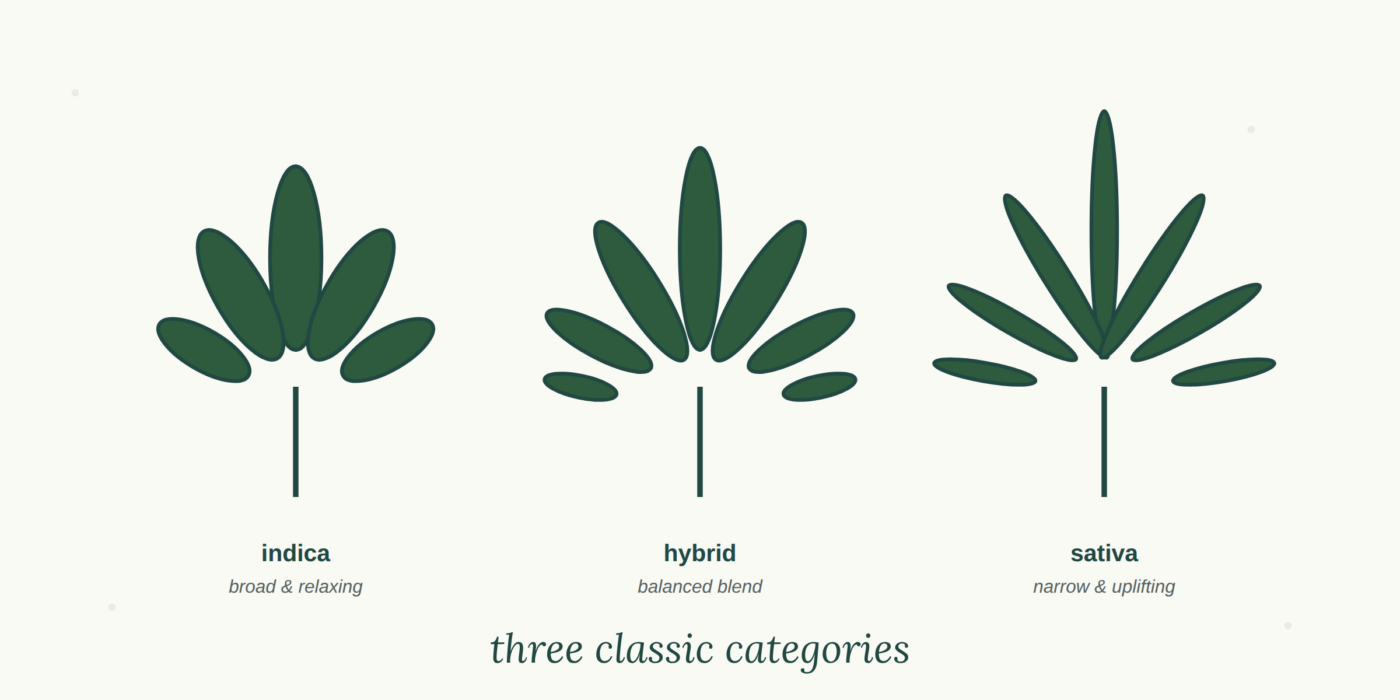 Indica vs. Sativa vs. Hybrid: What's the Difference?