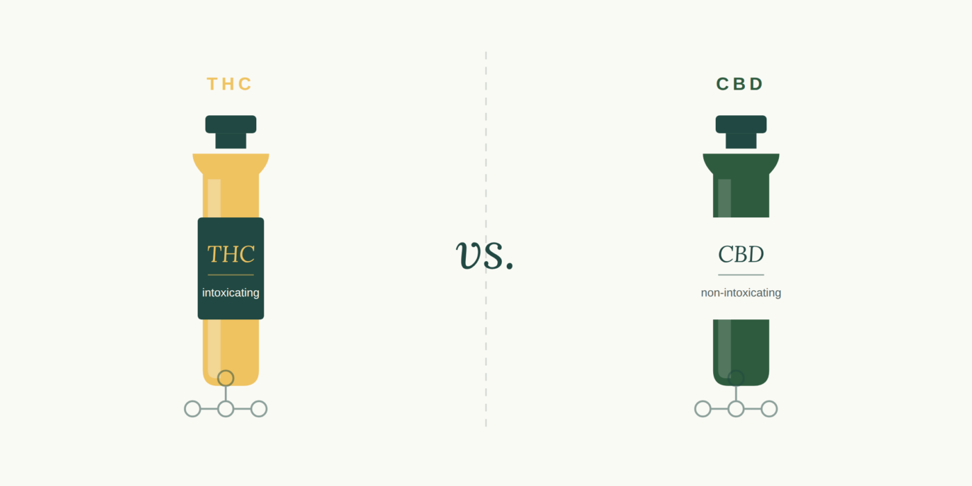 THC vs. CBD: Which Cannabinoid Should You Buy?